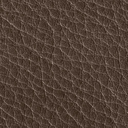 Gusto Minster | Natural leather | Alphenberg Leather