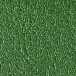 Gusto Darkgreen | Natural leather | Alphenberg Leather