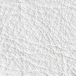 Gusto White | Colour white | Alphenberg Leather