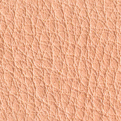 Gusto Petal | Colour pink / magenta | Alphenberg Leather
