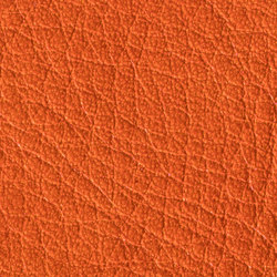 Gusto Pumpkin | Colour orange | Alphenberg Leather