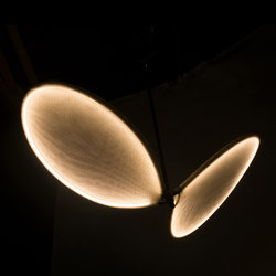 llll.03 suspended double | gold | Suspended lights | llll