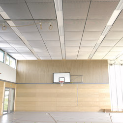 Sportsline V | Acoustic ceiling systems | pinta acoustic