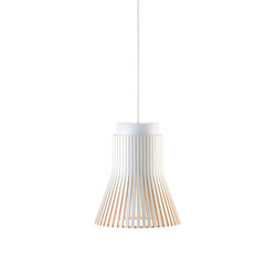 Petite 4600 pendant lamp | Suspended lights | Secto Design