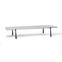 Branch Rectangular Low table | Coffee tables | Tribù