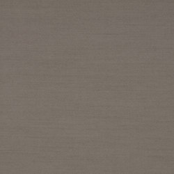 SHINE MEDIUM - 356 | Drapery fabrics | Création Baumann