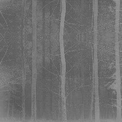 Forest | Bespoke wall coverings | GLAMORA