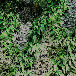 Garden | Bespoke wall coverings | GLAMORA