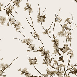 Korean Blossom | Bespoke wall coverings | GLAMORA