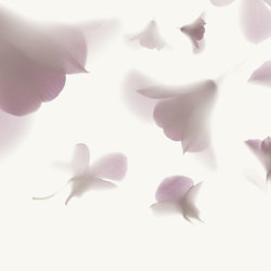 Pink Rhapsody | Pattern plants / flowers | GLAMORA