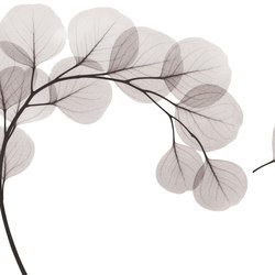 Light Breeze | Pattern plants / flowers | GLAMORA
