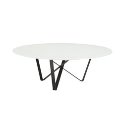 Narcissus Coffee Table | Coffee tables | Koleksiyon Furniture