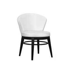 Canto Indoor Swivel Side Chair | Chairs | Aceray