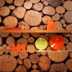 Infused veneer panel |  | B+N Industries