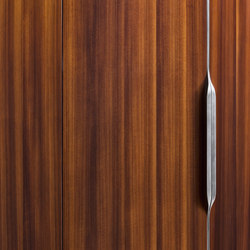 Wood Door series | Wardrobe doors | Flou