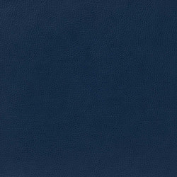 Fleur De Cuir 10566_67 | Colour blue | NOBILIS