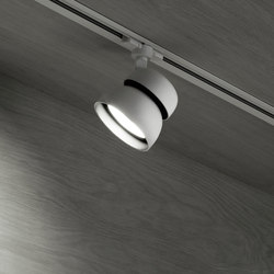 echo spot light