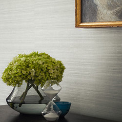 Silk Plain | Wall coverings / wallpapers | Zoffany