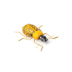 Fauna Beetle | Objetos | Mambo Unlimited Ideas