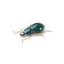 Fauna Beetle | Living room / Office accessories | Mambo Unlimited Ideas
