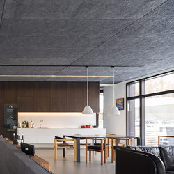 Troldtekt | Applications | Private home Hoejbjerg | Acoustic ceiling systems | Troldtekt