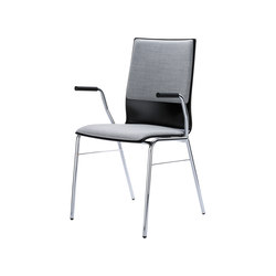 SET | Stühle | BRUNE