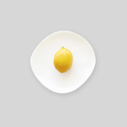 Round Plate | Medium | Dining-table accessories | Tina Frey Designs