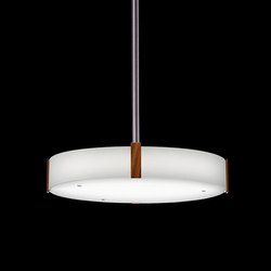 Ava Pendant | Suspended lights | The American Glass Light Company