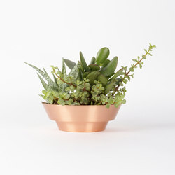Indoor Spun Bowl 8" | Copper | Planting | Yield