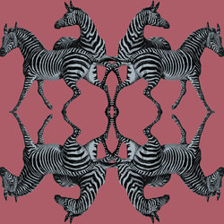 Zebra - Raspberry | Colour red | Tenue de Ville