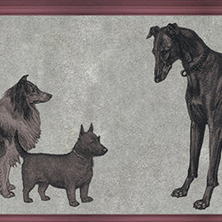 Canis - Raspberry | Colour grey | Tenue de Ville