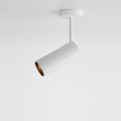 ceiling mounted directional light