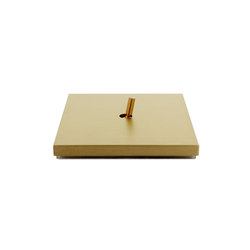 Sydney Cone HD Brushed Brass | Switches | Luxonov