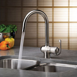 Ladylux Pro | Kitchen products | Grohe USA