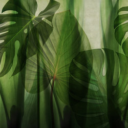 Equatorial Jungle | Bespoke wall coverings | GLAMORA