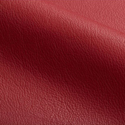 Amazon | Natural leather | Spinneybeck