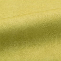 Lucca | Colour yellow | Spinneybeck