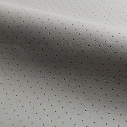 Perforated Leather | Colour grey | Spinneybeck