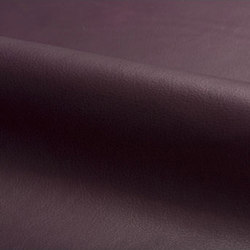 Prima | Natural leather | Spinneybeck