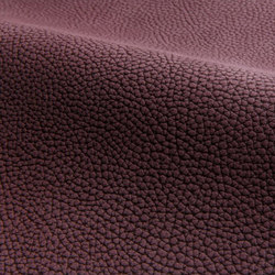Umbria | Natural leather | Spinneybeck