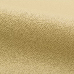 Volo | Natural leather | Spinneybeck