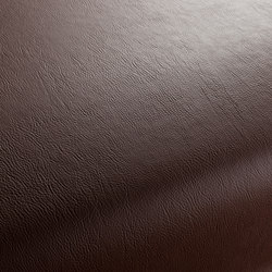 Secc 2221 | Upholstery fabrics | Carpet Concept