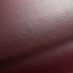 Secc 2312 | Drapery fabrics | Carpet Concept