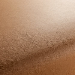 Secc 2379 | Drapery fabrics | Carpet Concept