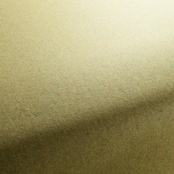 Texx 031 | Colour solid / plain | Carpet Concept