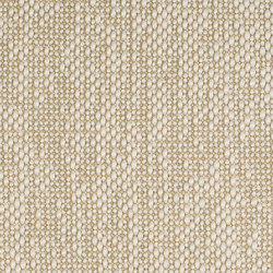 More 101 | Drapery fabrics | Carpet Concept