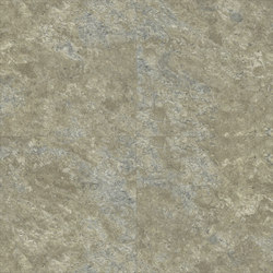 Pyrite - Lichen | Synthetic panels | Aspecta