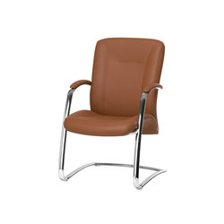 Salveo® Classic 8180 | with armrests | Köhl