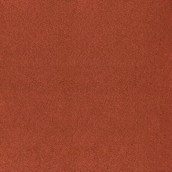 Asteranne Broadloom | Wall-to-wall carpets | Desso by Tarkett