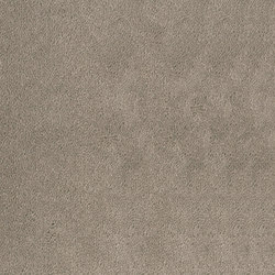 Asteranne Broadloom | Wall-to-wall carpets | Desso by Tarkett
